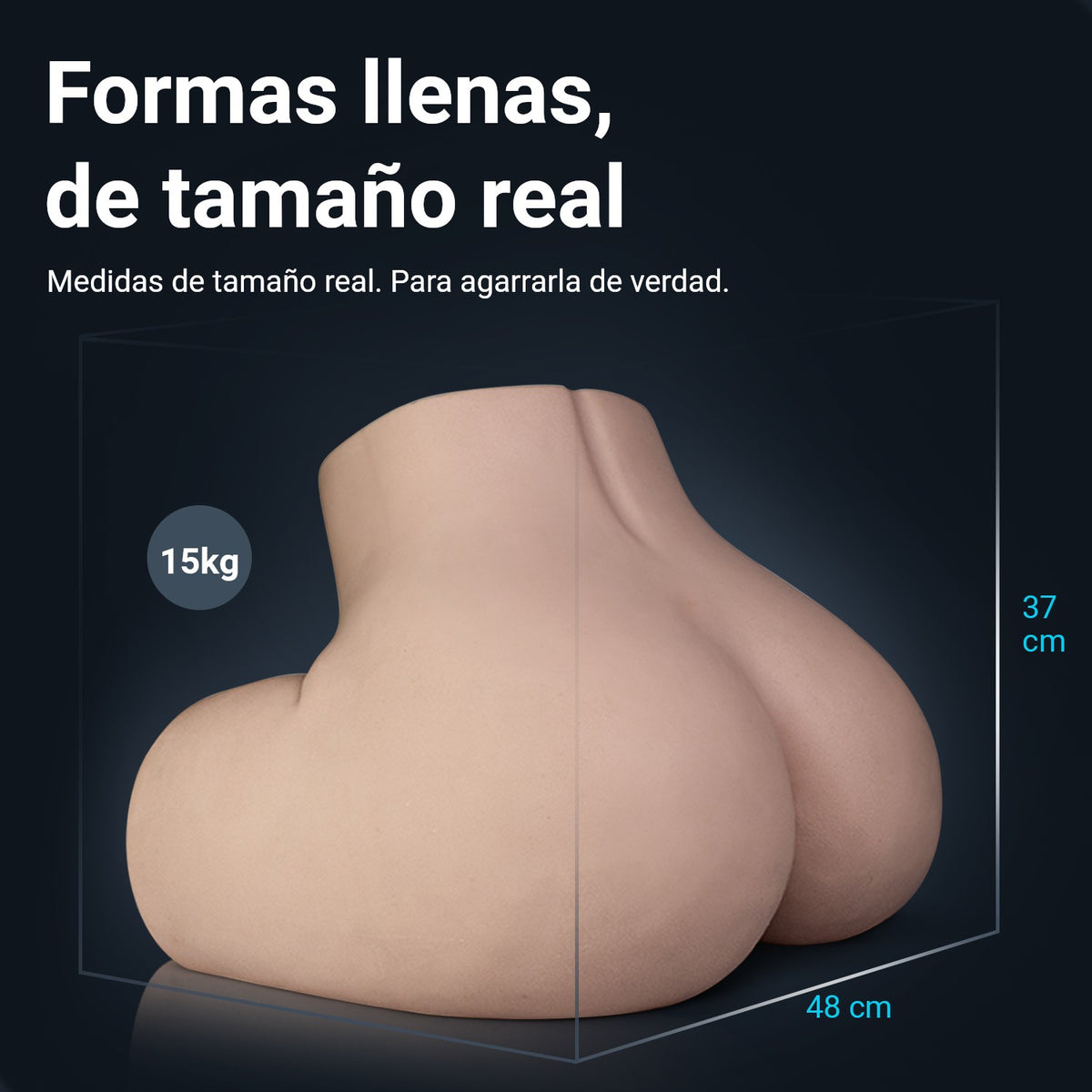 Medidas del trasero Loes: 48 cm de ancho, 37 cm de alto, 15 kg