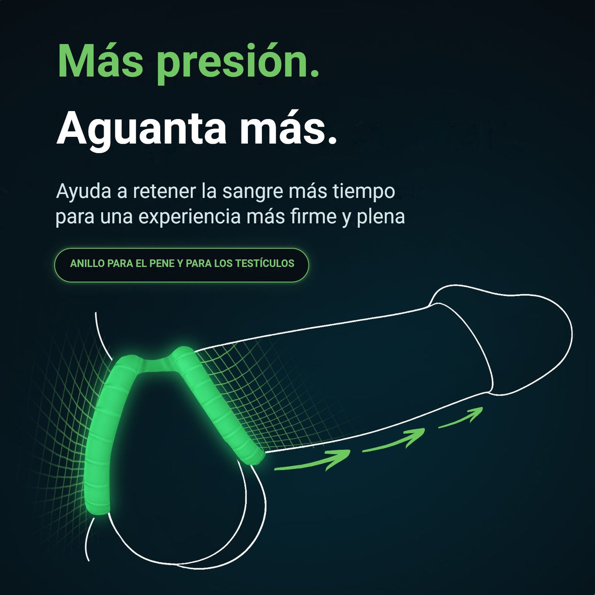 El anillo para el pene y para los testículos Glowloop Dual ayuda a mantener la sangre más tiempo para una experiencia más plena