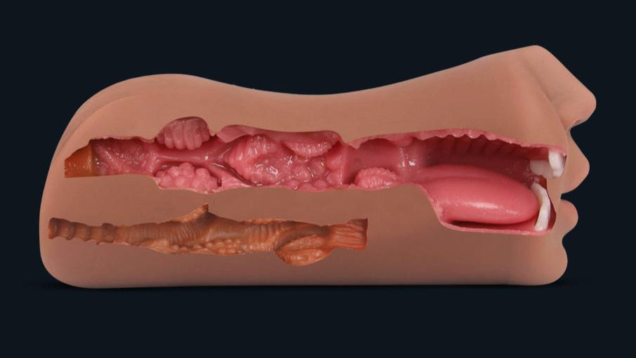 Corte transversal del interior de Lisa: canal texturizado con estrías y nódulos, boca con lengua y dientes